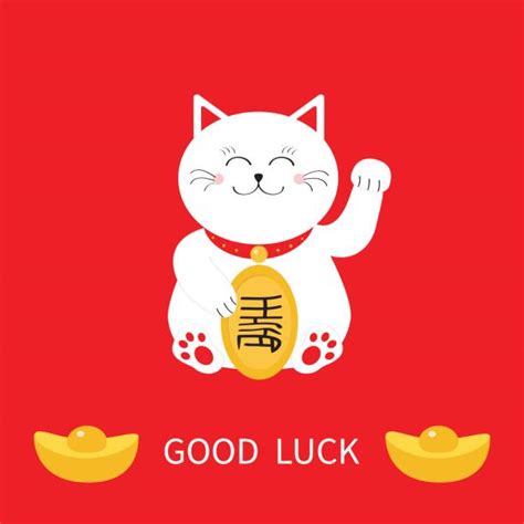 Best Japanese Good Luck Cat Illustrations, Royalty-Free Vector Graphics ...