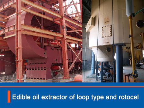 What Are The Edible Oil Extractor Different Of Loop Type And Rotocel