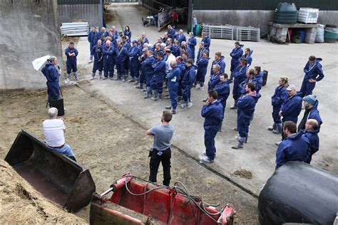 daera atdaerani twitter