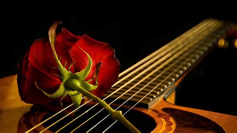 Guitar Rose Wallpaper 45619 - Baltana