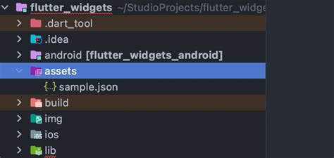 Flutter Read Data From Local Json Files Listview