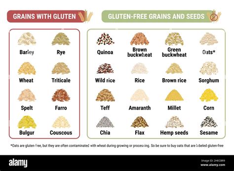 Gluten Free And Containing Gluten Grains Infographic Healthy And