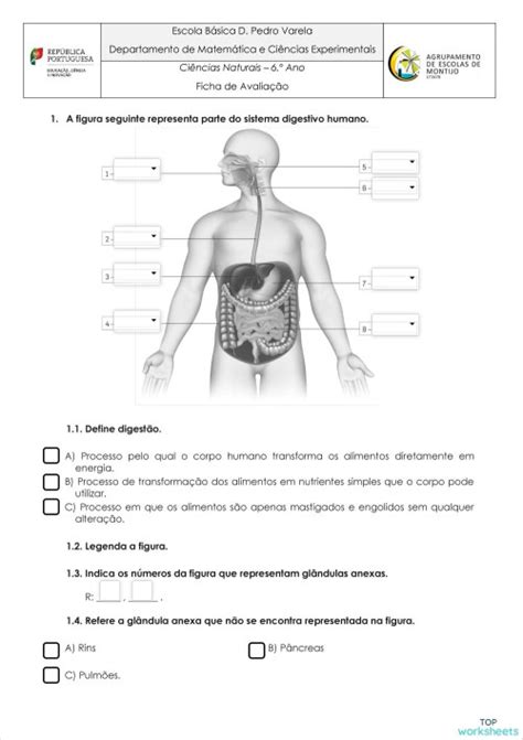 Ficha Painel 4 Ficha Interativa Topworksheets