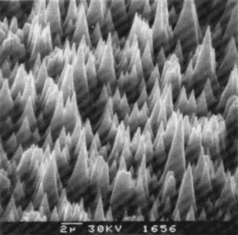 Rasterelektronenmikroskop Lexikon Der Physik