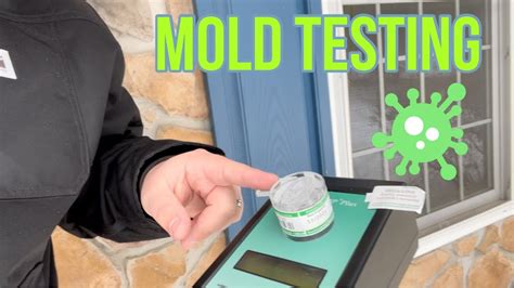 Mold Testing How To Test For Mold Youtube