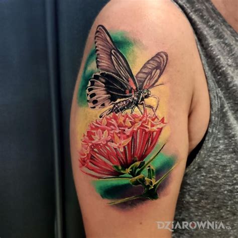 Tatua Motyl I Kwiat Autor Sky Tattoo Chorz W Dziarownia Pl