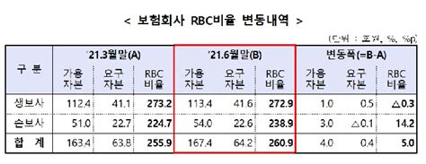 상반기 보험사 Rbc 비율 260mg손보는 미흡 대한경제