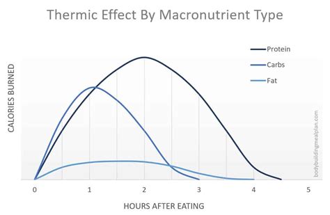 Bro Science Versus Actual Science By Dev Medium