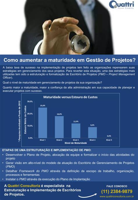 Como aumentar a maturidade em Gestão de Projetos PDF