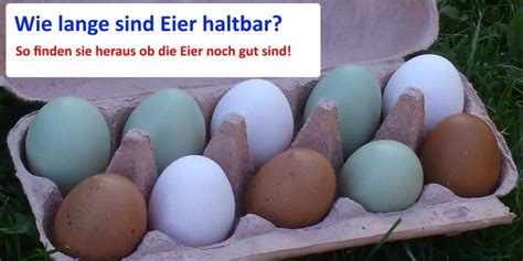 H Hner Eierfarbe Bunte Eier Welche Farben Gibt Es Gr N Rosa Sch