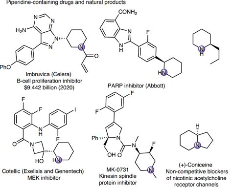 Similar to biosynthesis! Scientists discover a new method of chiral piperidine synthesis - The ...