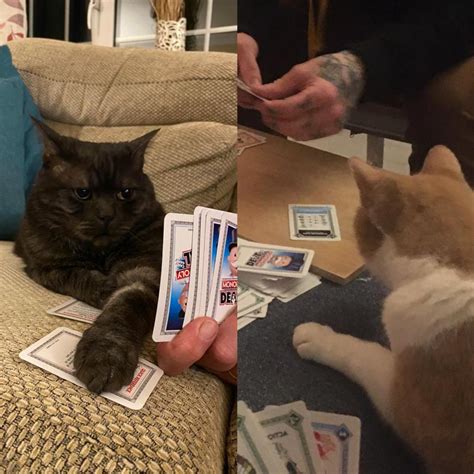 Who’s winning? : r/monopoly