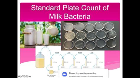 Standard Plate Count Of Milk Bacteria Lab Youtube