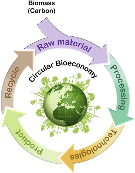 Use Of Biomass Within The Circular Bioeconomy Concept Download Scientific Diagram