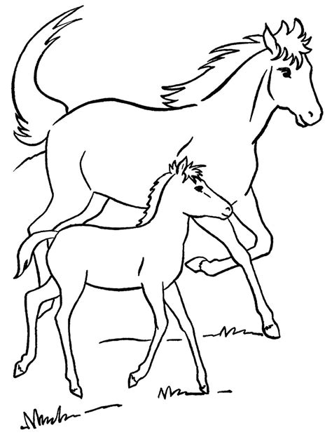 Desenhos De Cavalos Para Imprimir Braincp