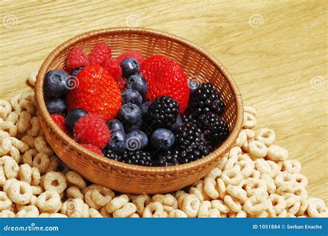 Fruits and cereals stock photo. Image of sweet, forest - 1051884