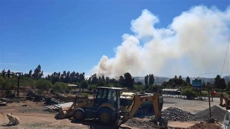 Onemi Declara Alerta Roja En Litueche Por Incendio Forestal Epicentro