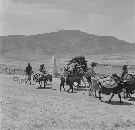 Battle of Kasserine Pass — Google Arts & Culture