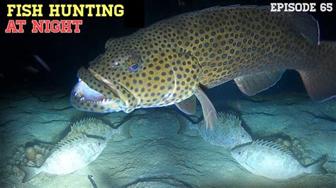 NIGHT SPEARFISHING EPISODE 65 FISH HUNTING AT NIGHT YouTube