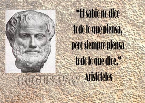 Frases de Aristóteles Las mejores frases citas de Aristóteles