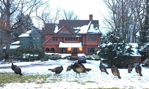 Cambridge City Council meeting this morning : r/boston