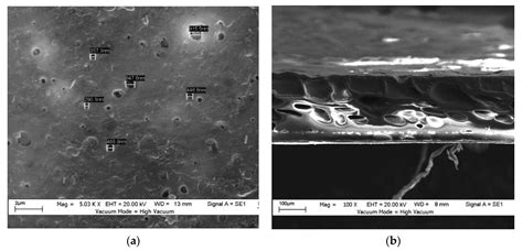 Chemengineering Free Full Text The Performance Of Microfiltration