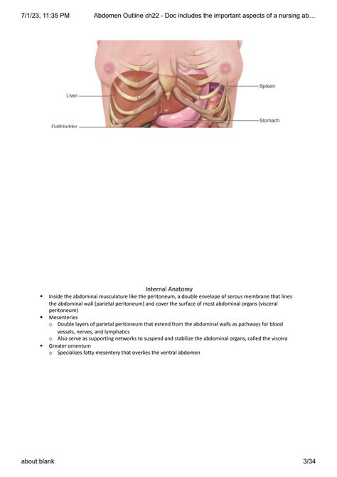 Solution Abdomen Outline Ch Doc Includes The Important Aspects Of A