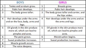 Physical Changes - Adolescence and Change