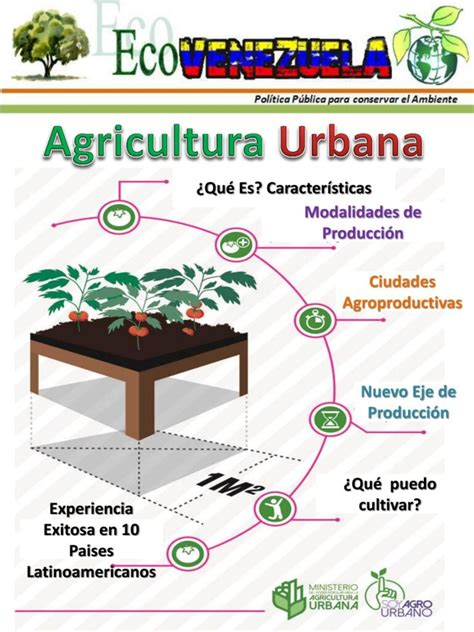 Como Sembrar Mora En Casa Colombia Verde