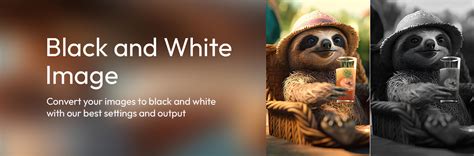 convert image  black  white  bw photo converter tool