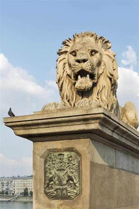 Lion Of Chain Bridge In Budapest Hungary Stock Photo Image Of Buda