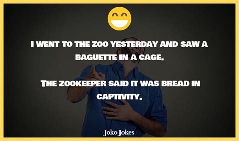 54+ Zookeeper Jokes And Funny Puns - JokoJokes