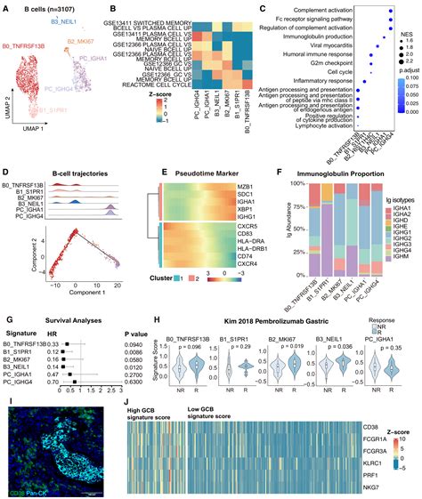 Singlecell Dissection Of Cervical Cancer Reveals Key Subsets Of The