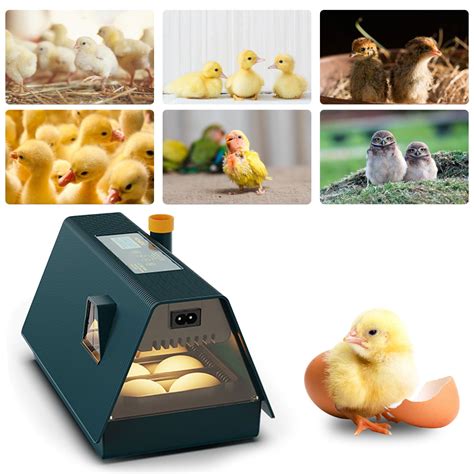 Coollooc Chicken Incubators For Hatching Eggs Egg Incubator With