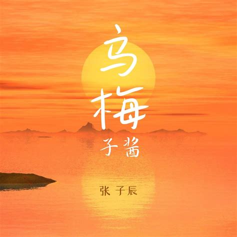 乌梅子酱 张子辰Ronghao Li 高音质在线试听 乌梅子酱歌词 歌曲下载 酷狗音乐