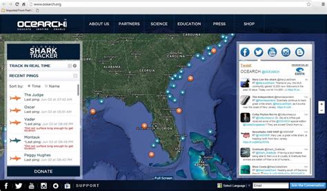 Global Shark Tracker Shrimpnfishflorida™ Is Floridas Official