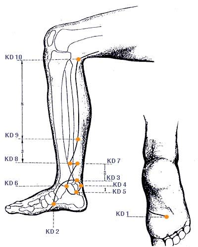 How Do Acupuncturist Choose Acupuncture Points