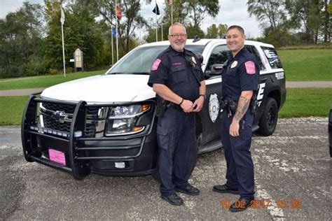 Pink Patch Project Rosemount Mn Official Website