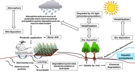 Fate And Transport Of Pesticides In The Environment Download