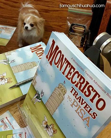 famous chihuahua and international traveling pet celebrity launches book | famous chihuahua