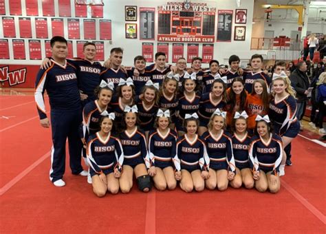 Stevenson, Buffalo Grove High Cheer Teams Fare Well At State | Buffalo Grove, IL Patch