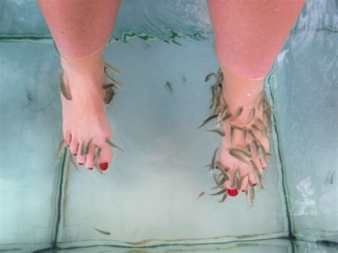 Fish Pedicure – Villa Arghy