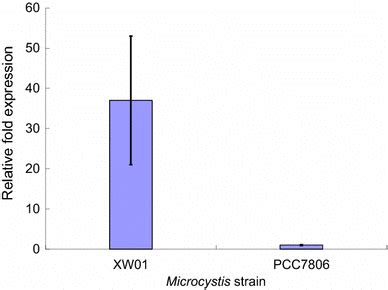 Relative Expression Of The S Layer Gene In Xw And Pcc Quantified