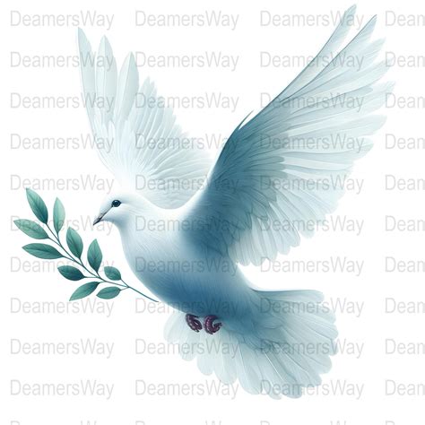 10 Dove Digital Clipart, Dove Illustration, Instant Download, High