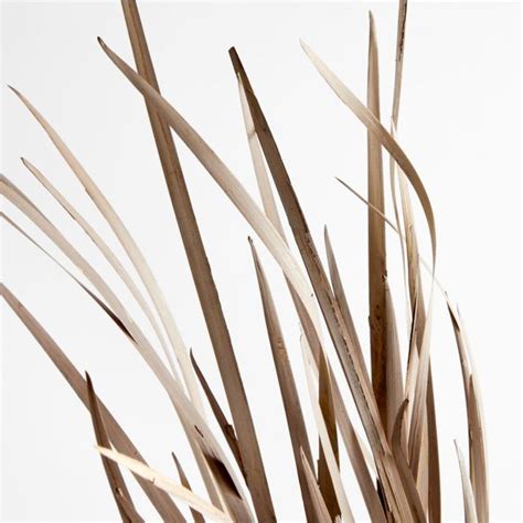 Courtney Decorative Dried Grass Bundle 42 By Leanne Ford Crate And Barrel In 2024 Crate And