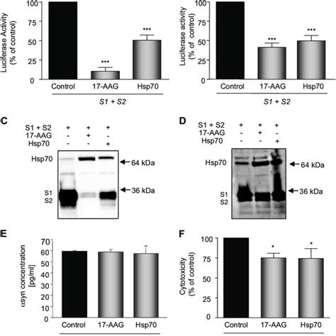 Hsp And Aag Reduce Syn Oligomerization And Rescue Toxicity A