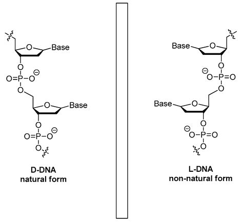 Ijms Free Full Text Chemical Modifications Of Nucleic Acid Aptamers