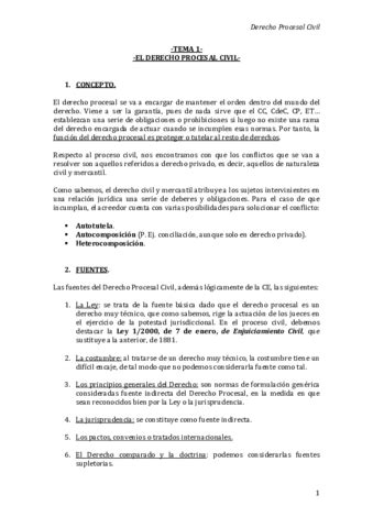 Apuntes Procesal Civil Pdf