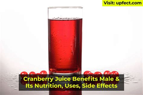 Cranberry Juice Benefits Male And Its Nutrition Uses