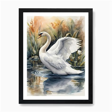 Swan Watercolor Painting Poster 6 Art Print by The Art Of Pat - Fy